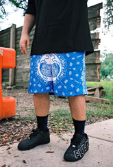 Htown Blue Mesh Shorts - globey