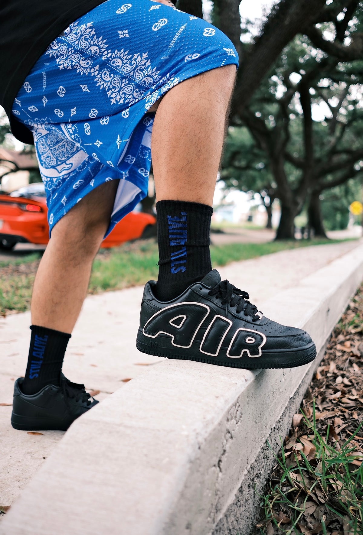 Black/Blue Still Alive Socks