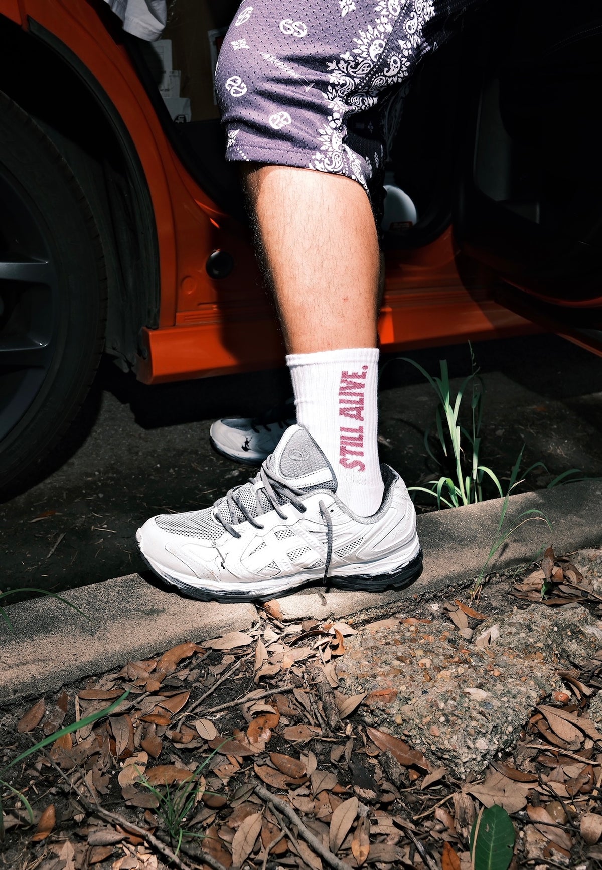 White/Purple Still Alive Socks